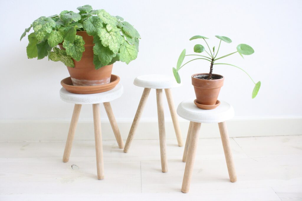 A Solid Concrete Plant Stand