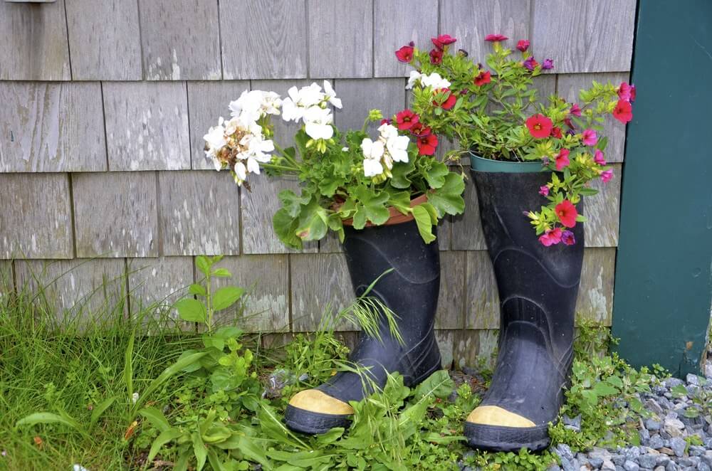 Garden Boots