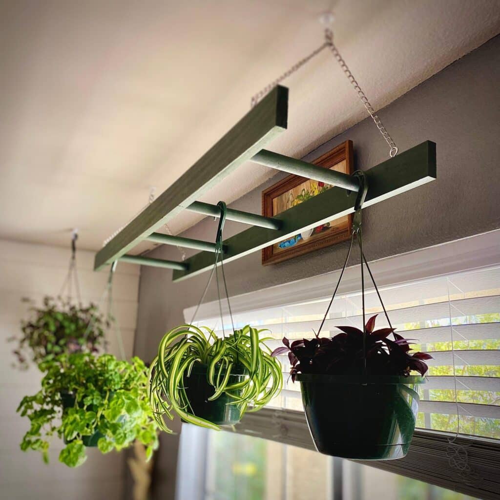 How to Hang Plants Without Drilling