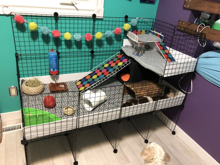 Multi-Pet Guinea Pig Cage