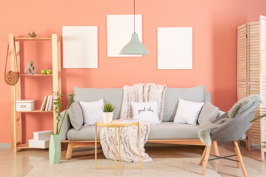 Neutral Peach (Rodda Paint)