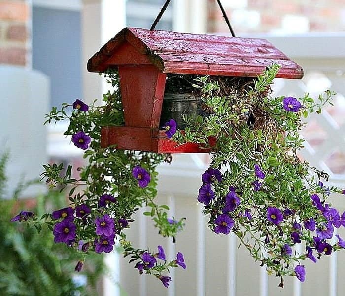 Plant Holder and Bird Feeder