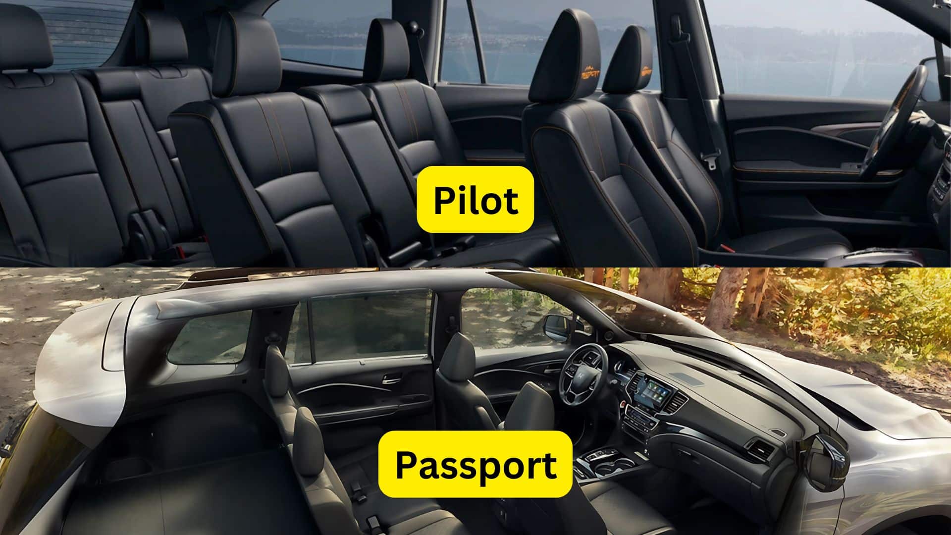 Passenger and Cargo Space