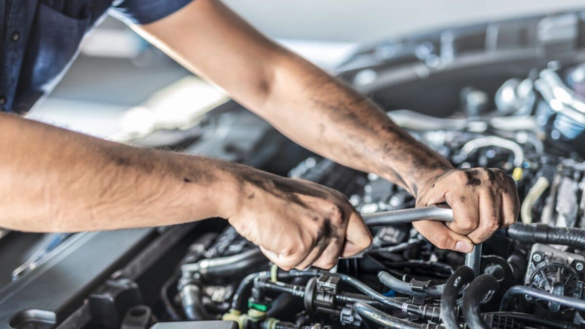 The Truth Behind Vehicle Tune-Up Frequency Myths - Opple House