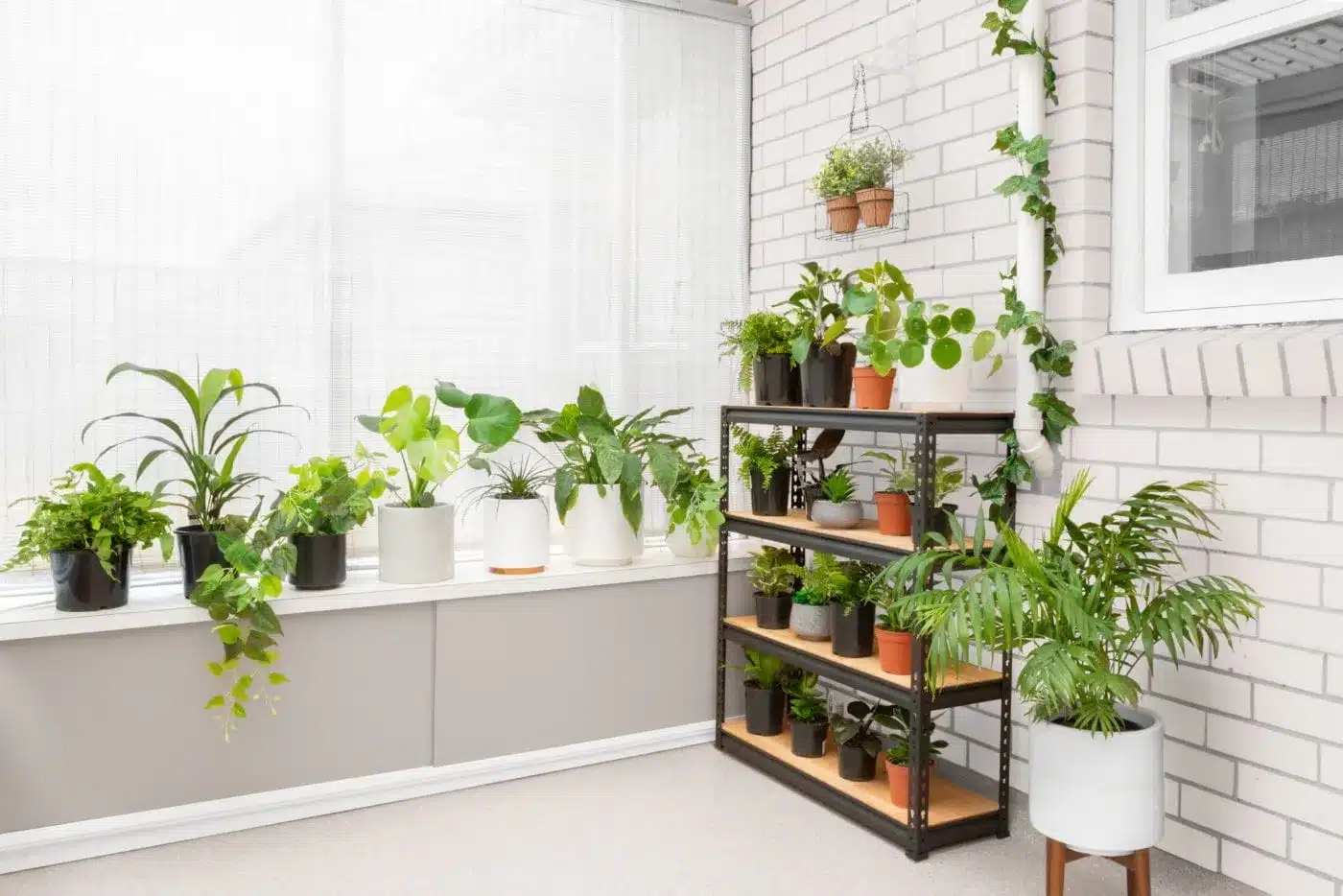 Bring Life to Your Space With Greenery