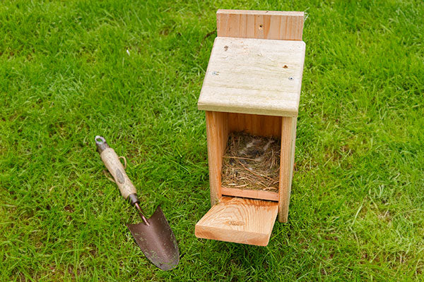 Installing and Maintaining Bird Boxes