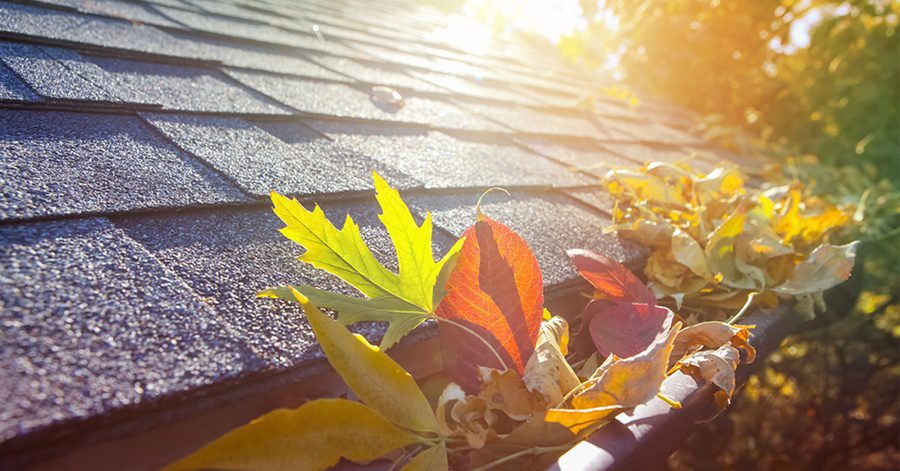 leading Essential Benefits of Gutter Cleaning