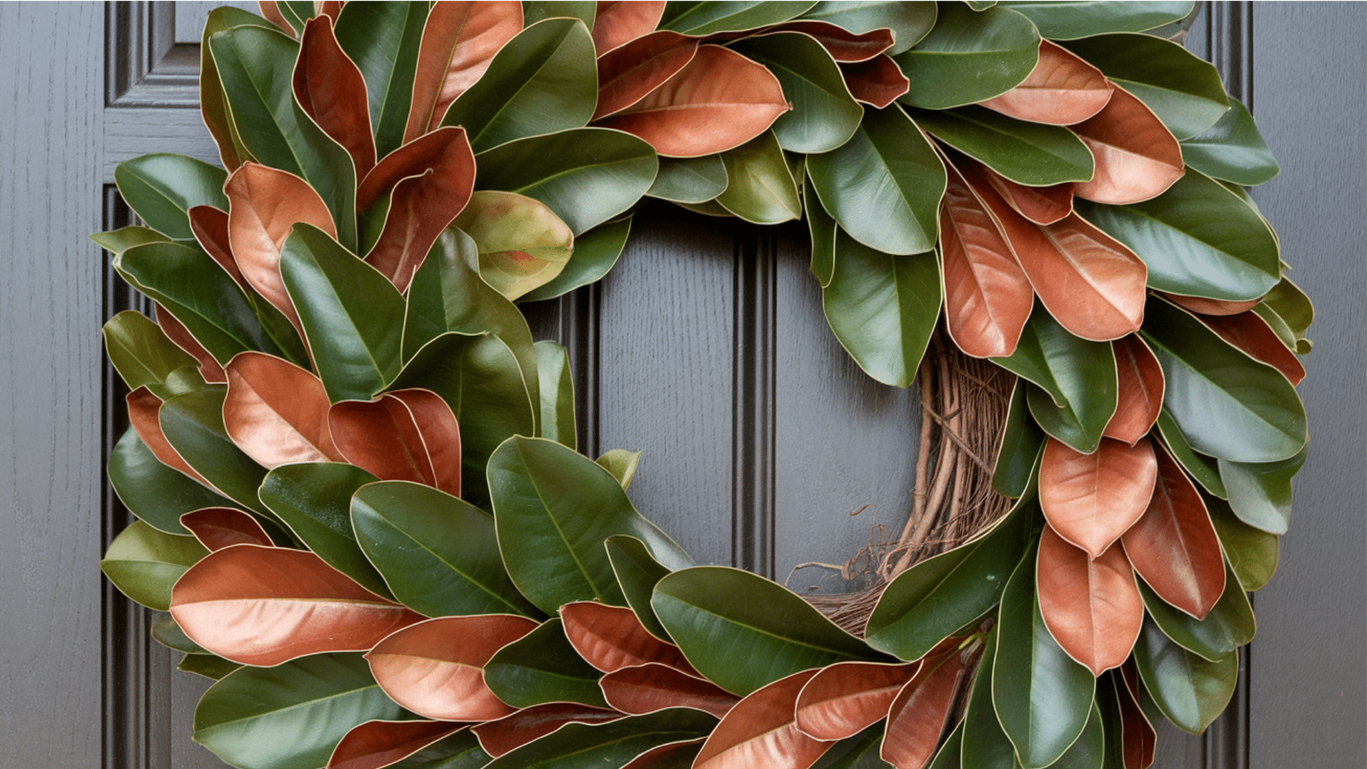 Magnolia_Leaf