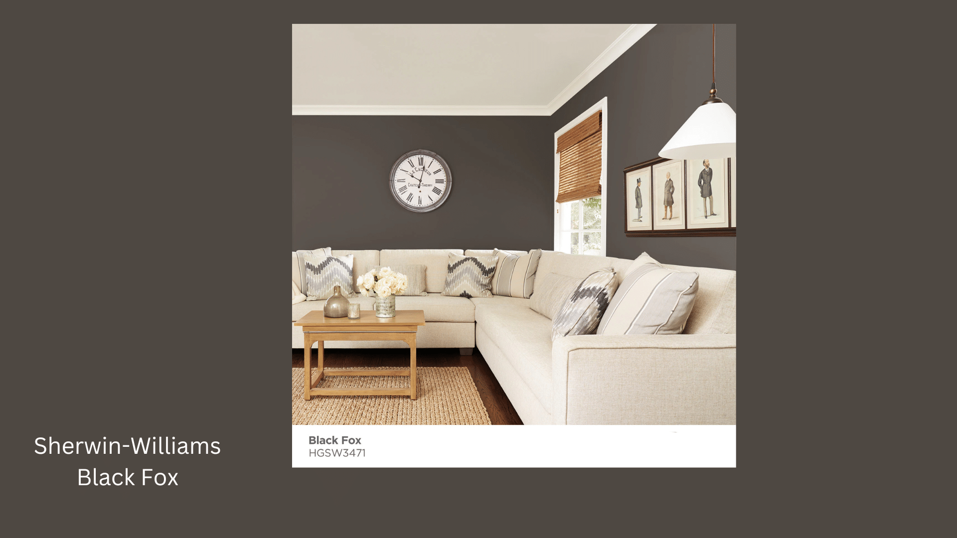 Sherwin-Williams_Black_Fox_SW_7020