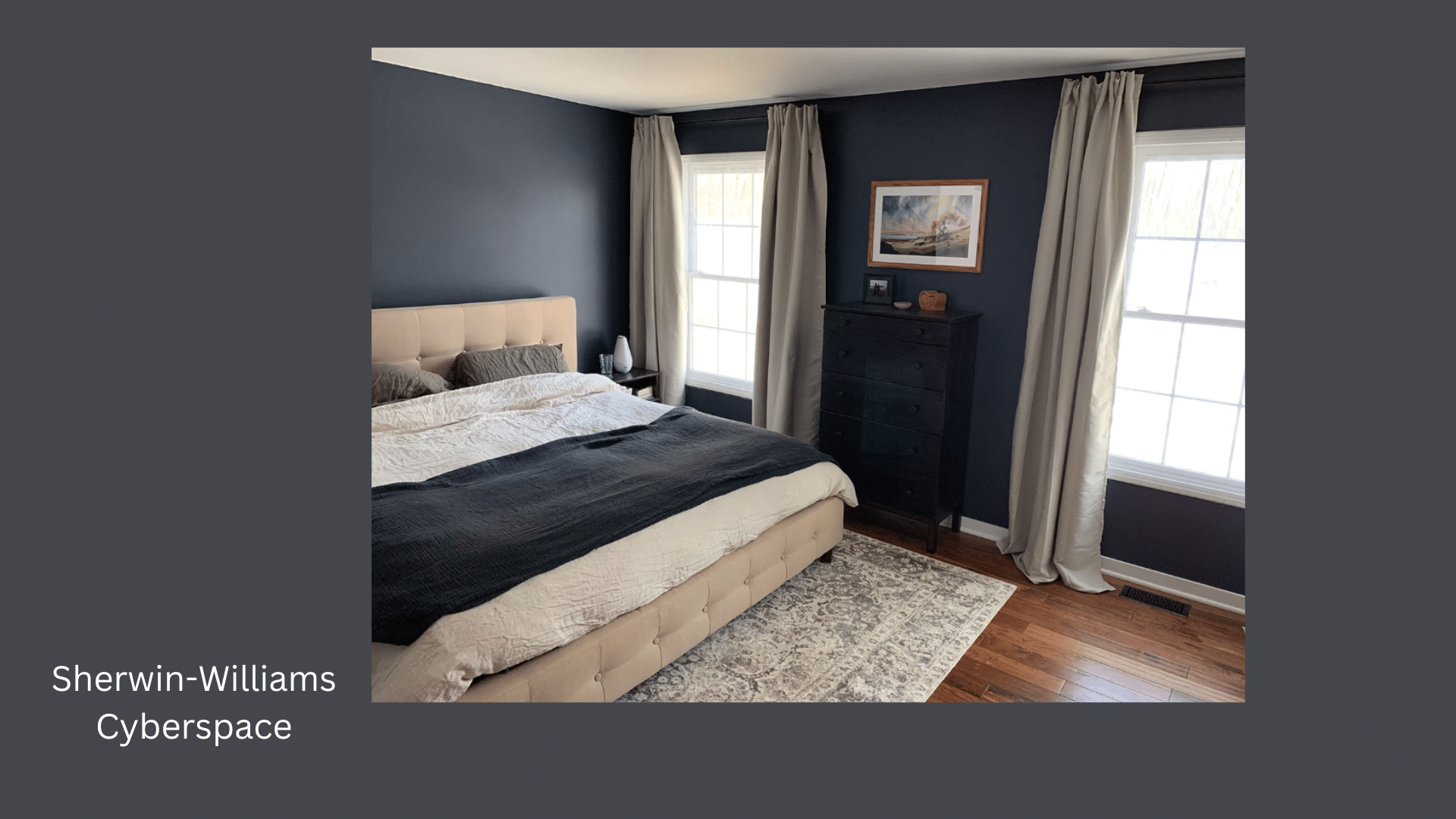 Sherwin-Williams_Cyberspace_SW_7076