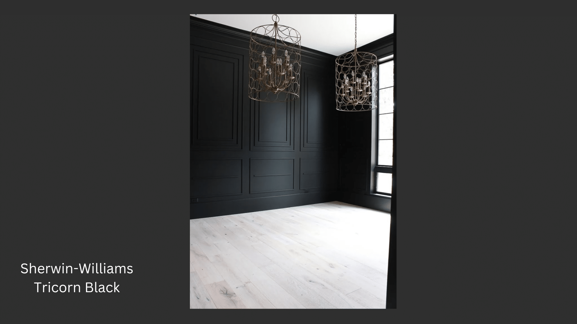 Sherwin-Williams_Tricorn_Black_SW_6258