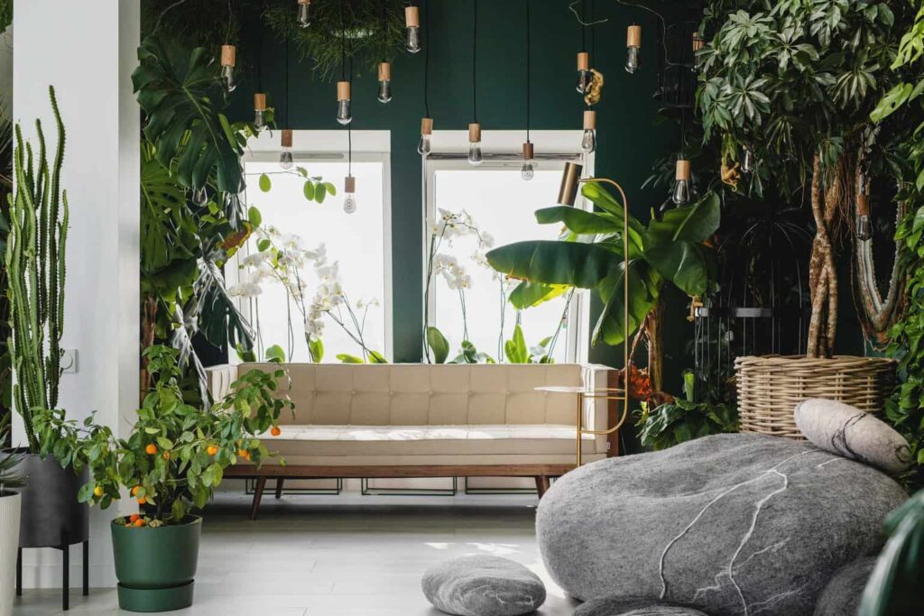 The Benefits of Biophilic Home Design