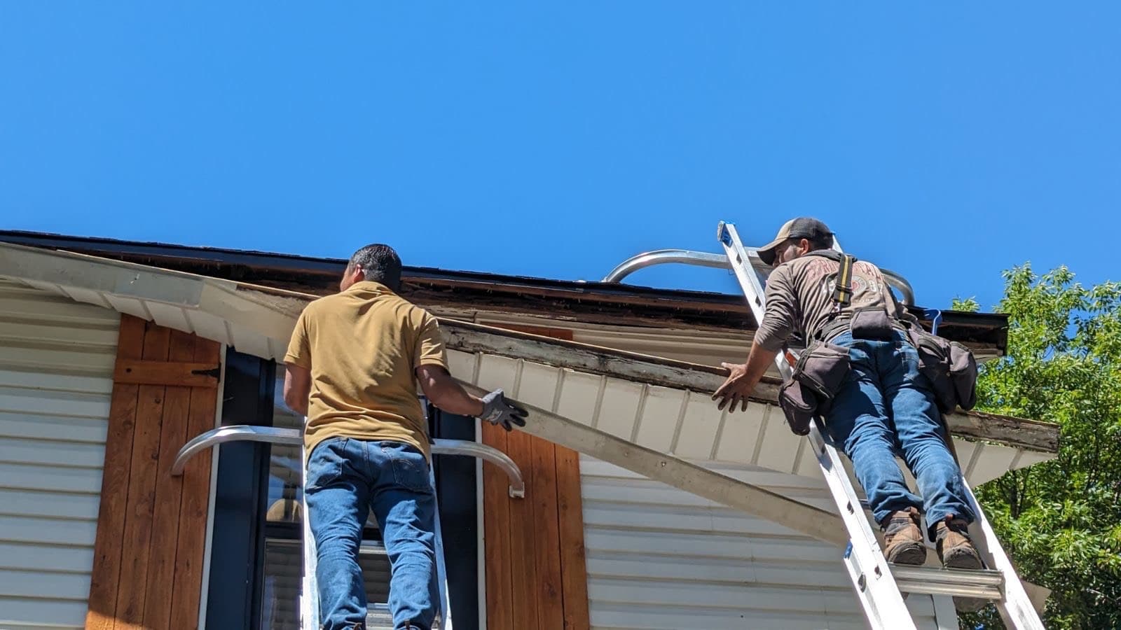 A group of men on ladders AI-generated content may be incorrect.