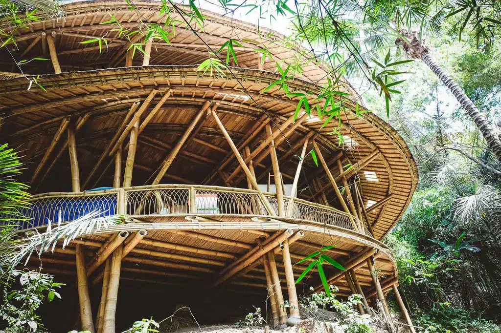 Biophilic Design: Strengthening the Human-Nature Connection