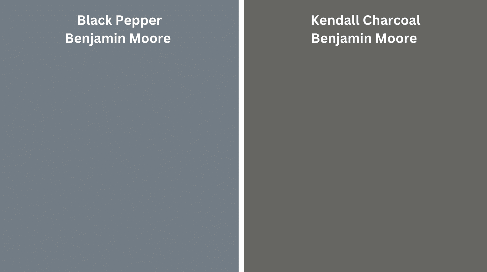 Black_Pepper_vs_Kendall_Charcoal