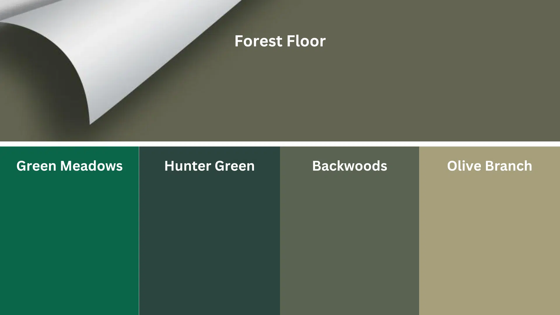 Comparing_Forest_Floor_with_Similar_Shades