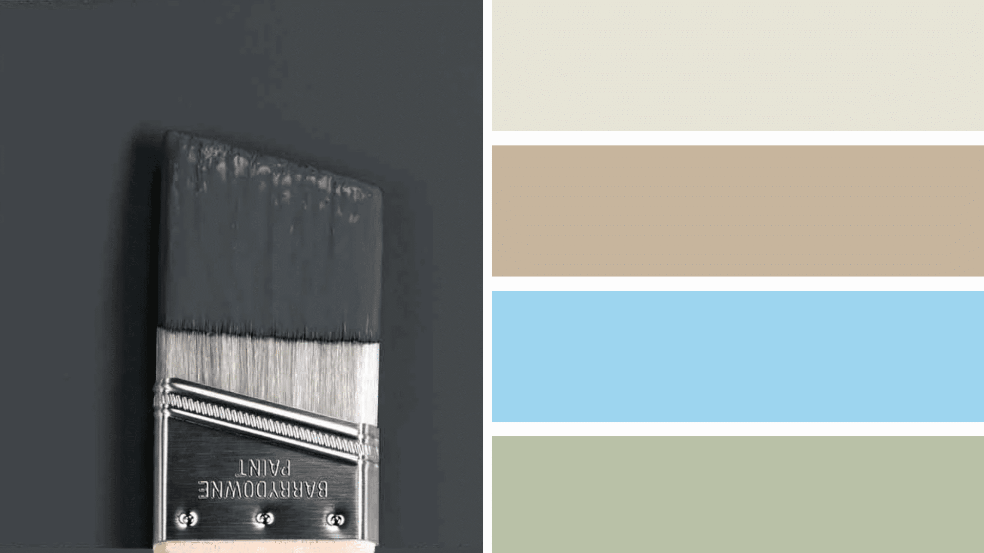 Coordinating_Colors_with_Raccoon_Fur_2126-20_by_Benjamin_Moore