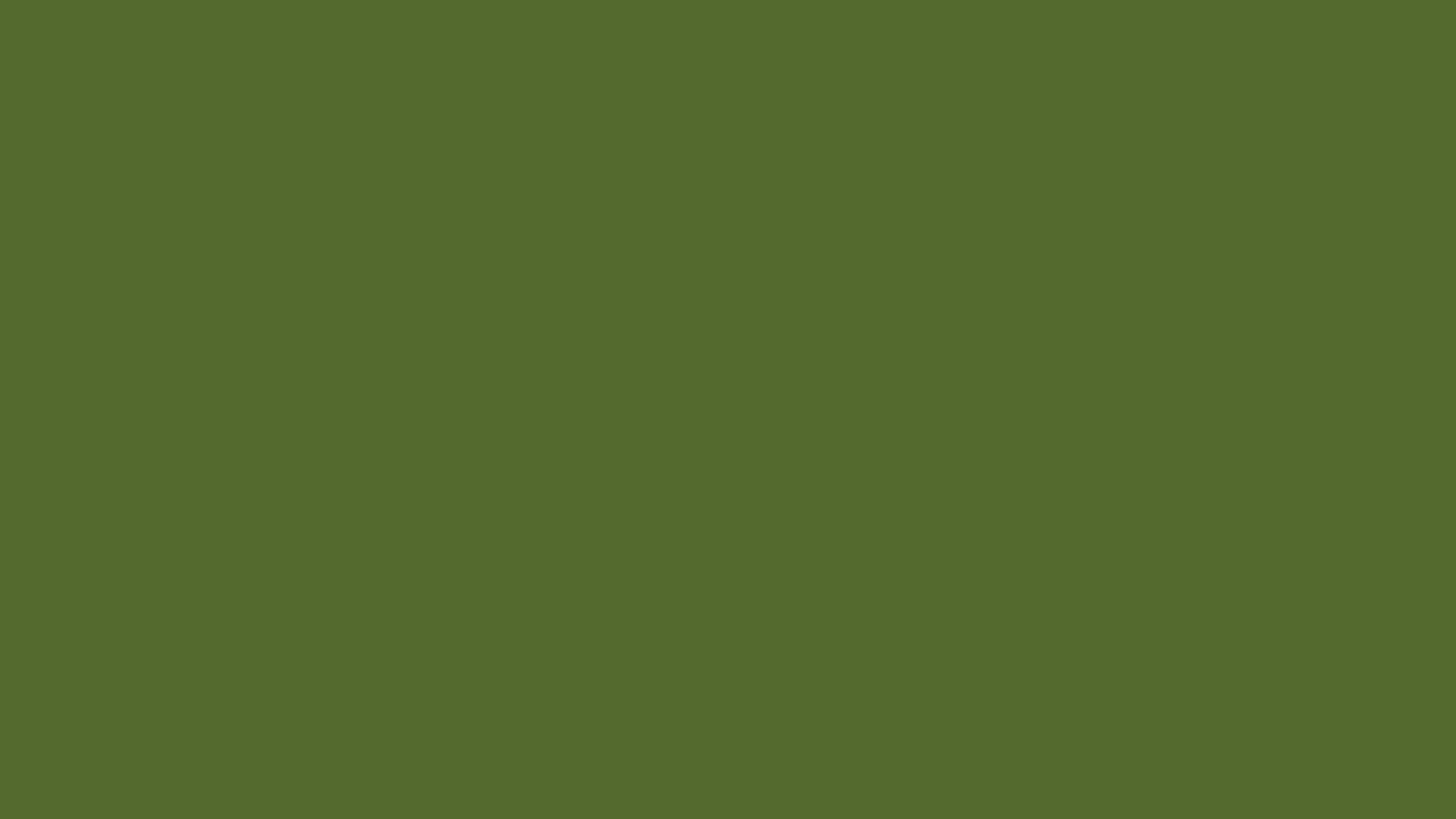 Deep_Olive_HEX_556B2F