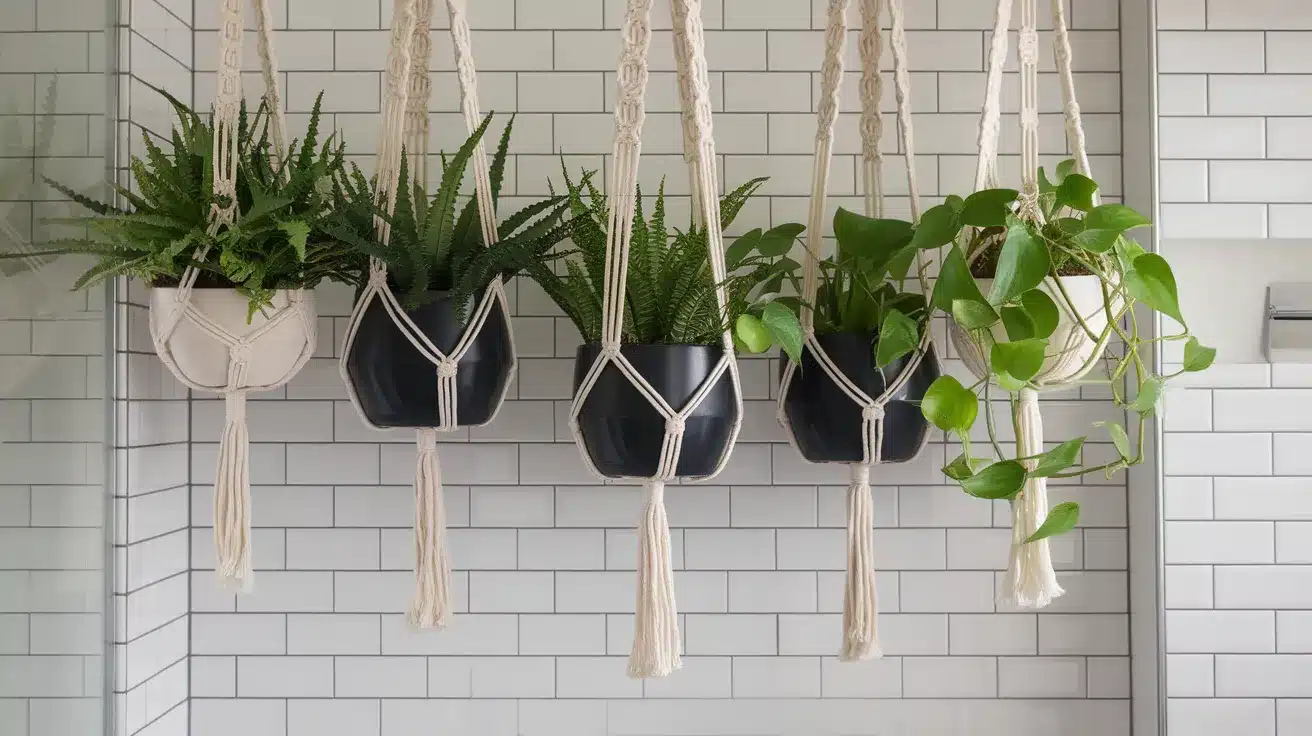 Hanging_Plant_Arrangements