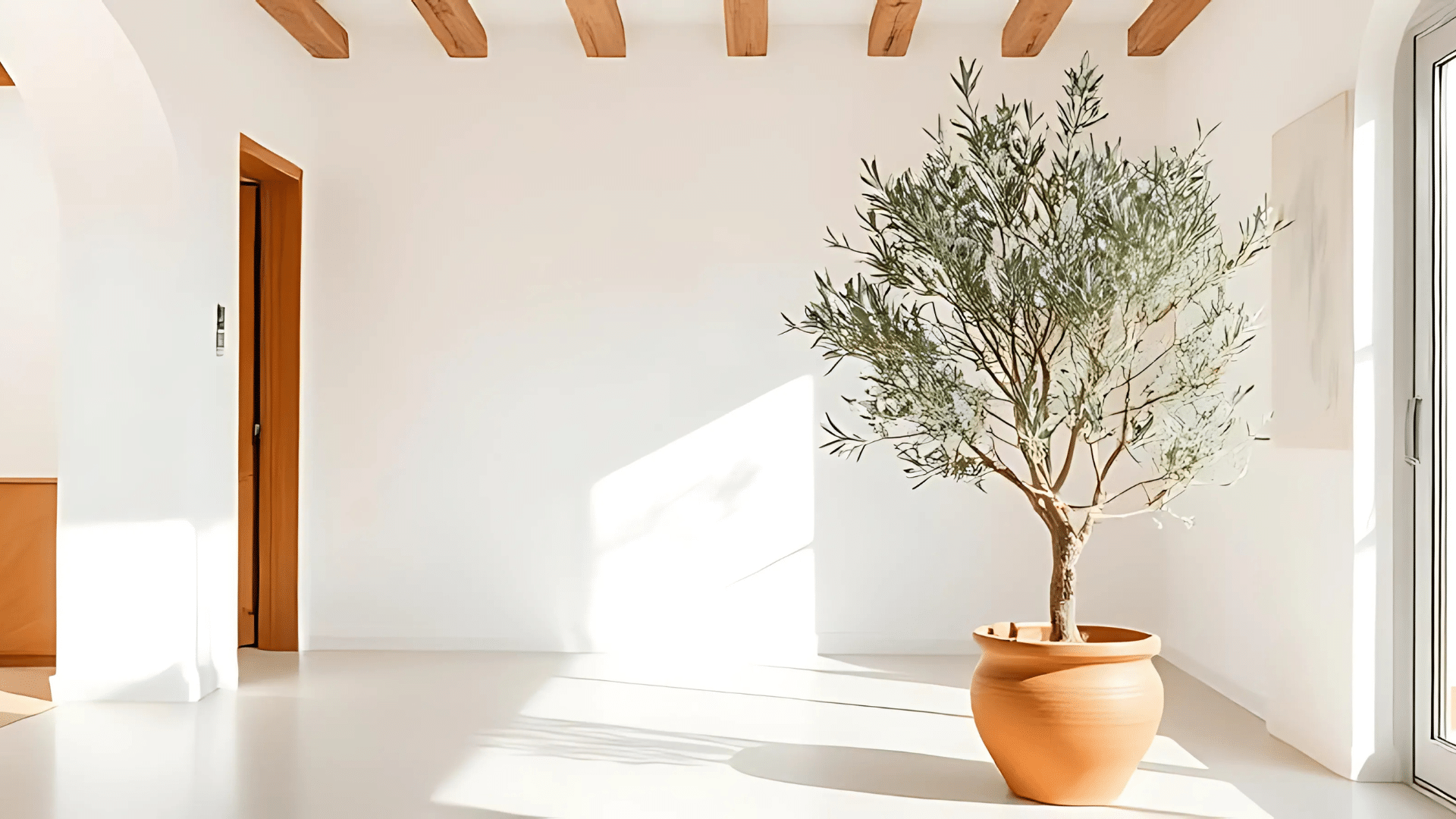 P-12_Mediterranean_Plants