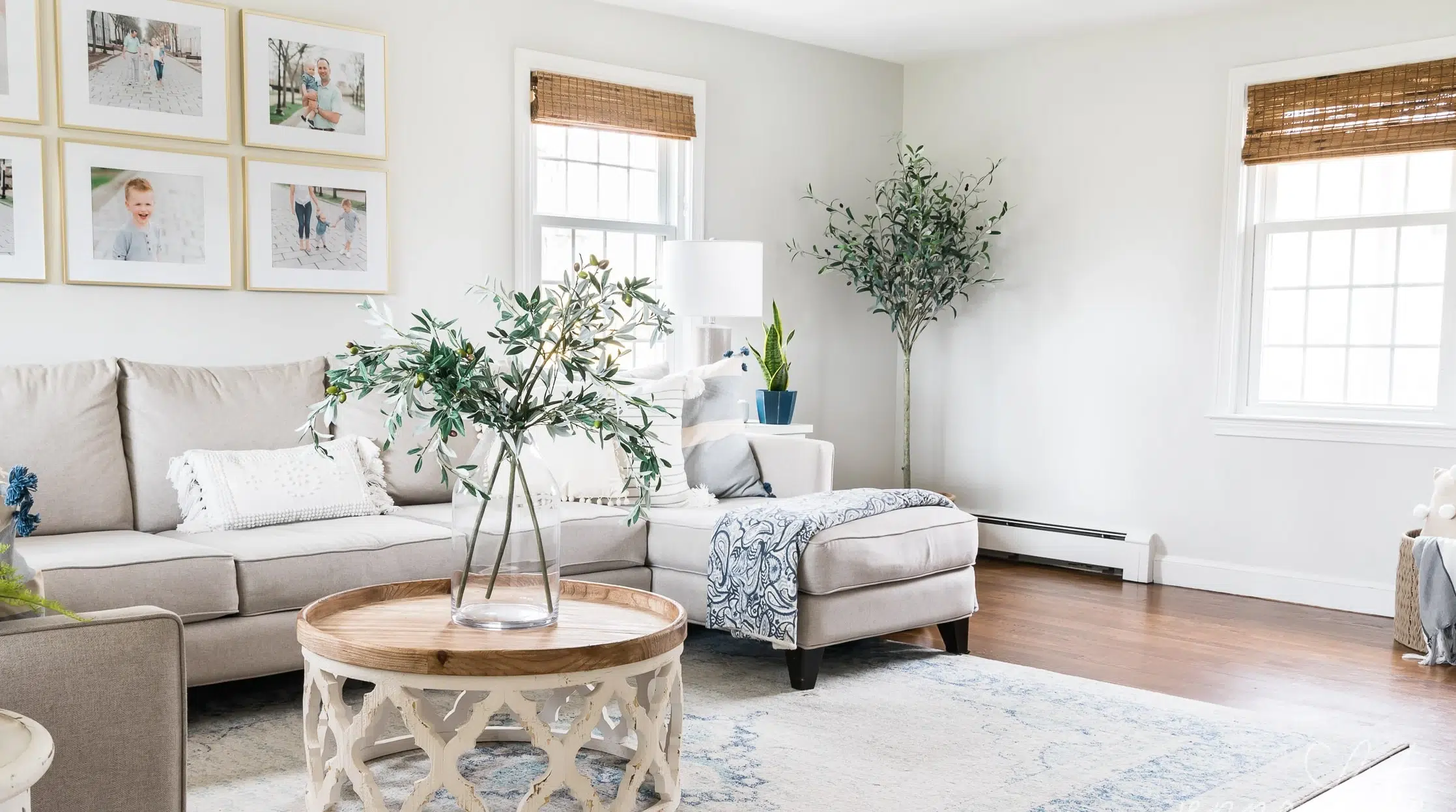 Repose_Gray_in_Natural_Light