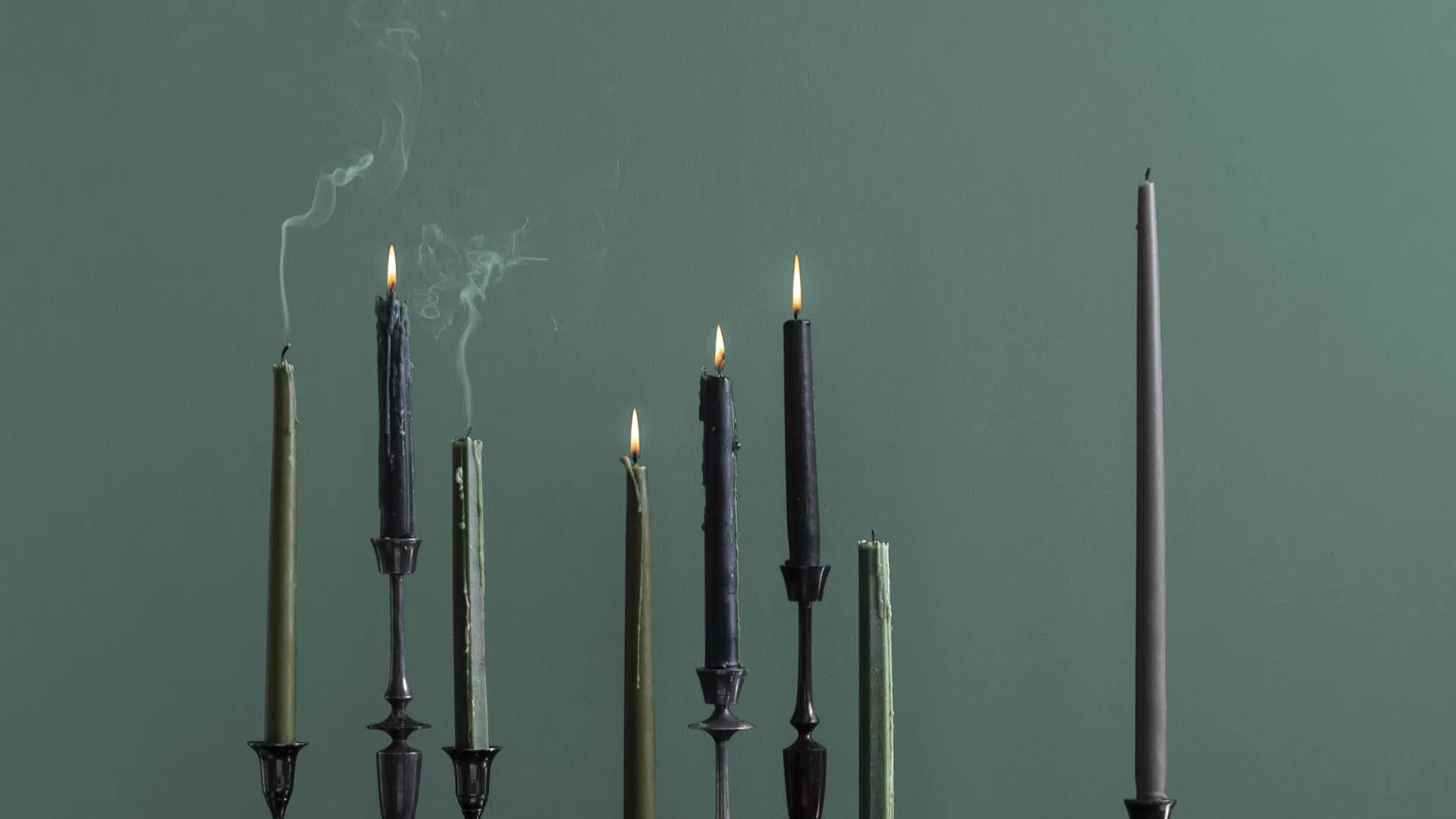 The_Deep_Green_Character_of_Jack_Pine_What_You_Should_Know