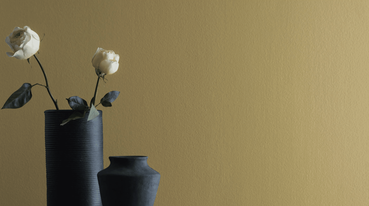 Thyme_2148-20