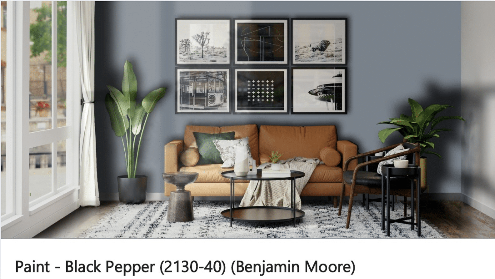 Using_Black_Pepper_by_Benjamin_Moore