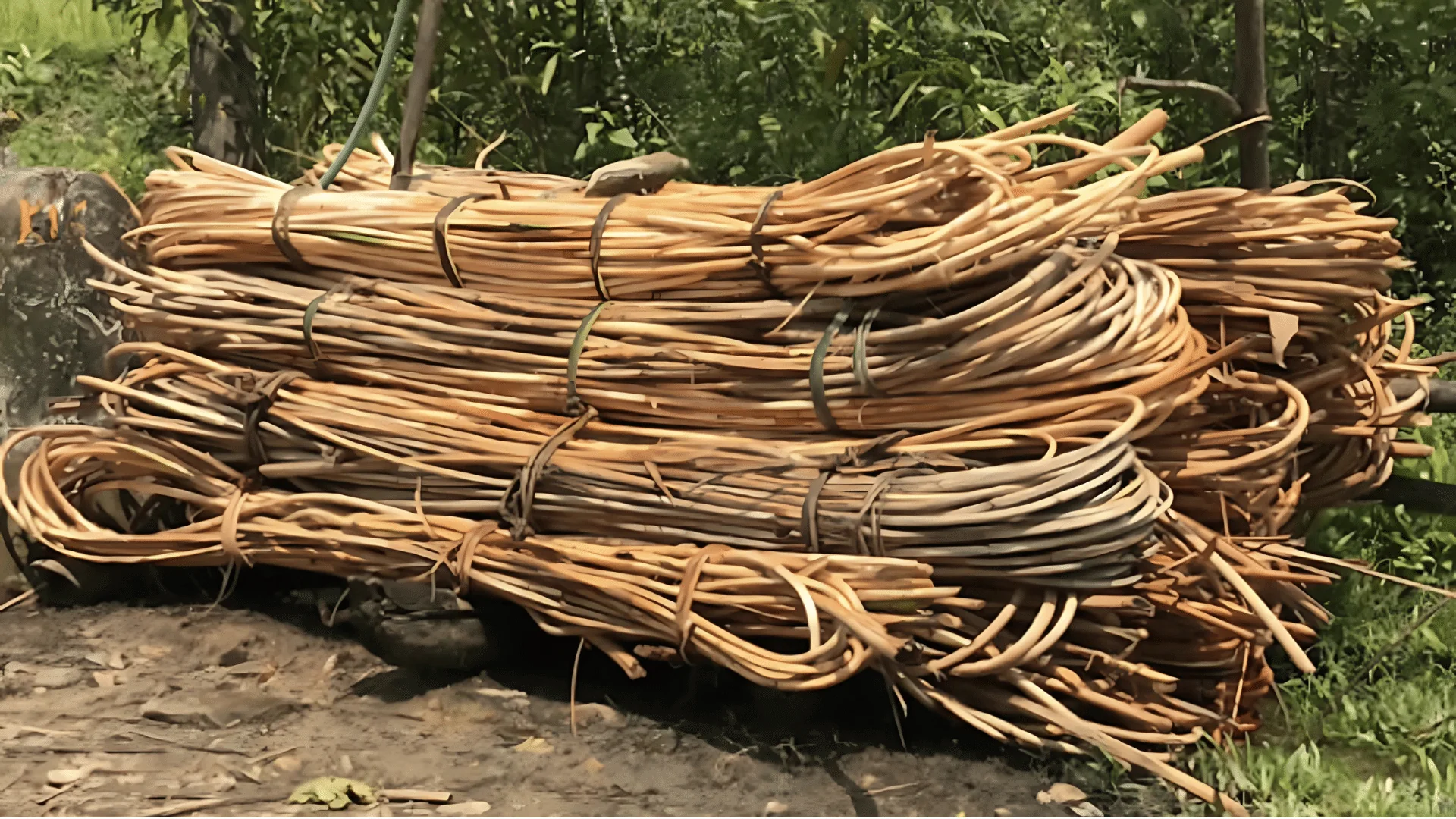 b-What_Is_Rattan