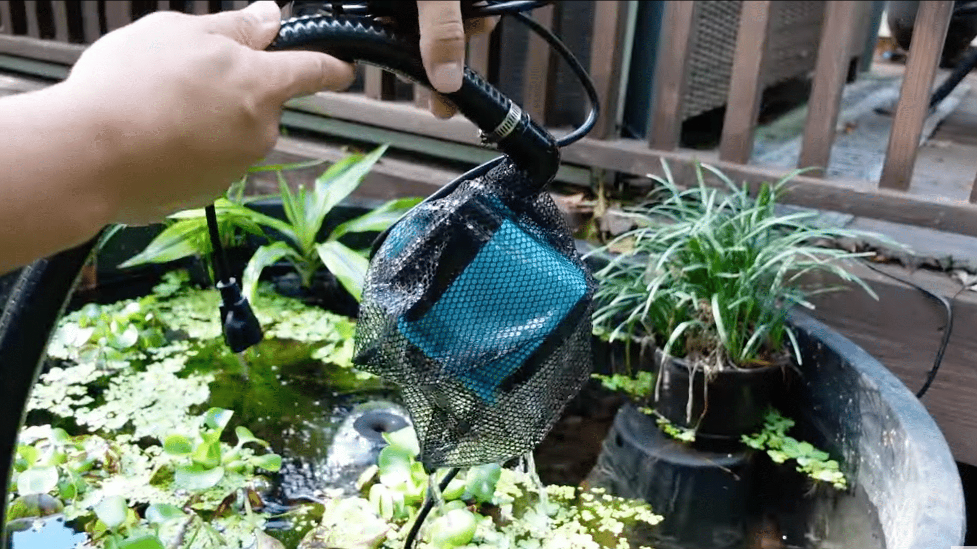 Place the Pump in the Pond
