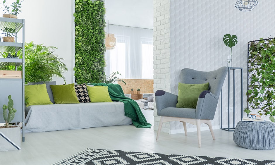 Choose Sustainable Materials and Furniture