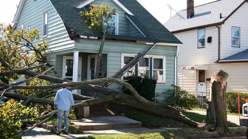 Comparison with Other Types of Property Damage