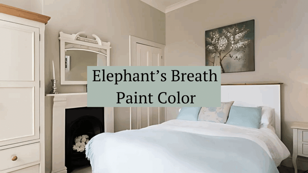 Elephant's Breath Paint Color A Complete Guide