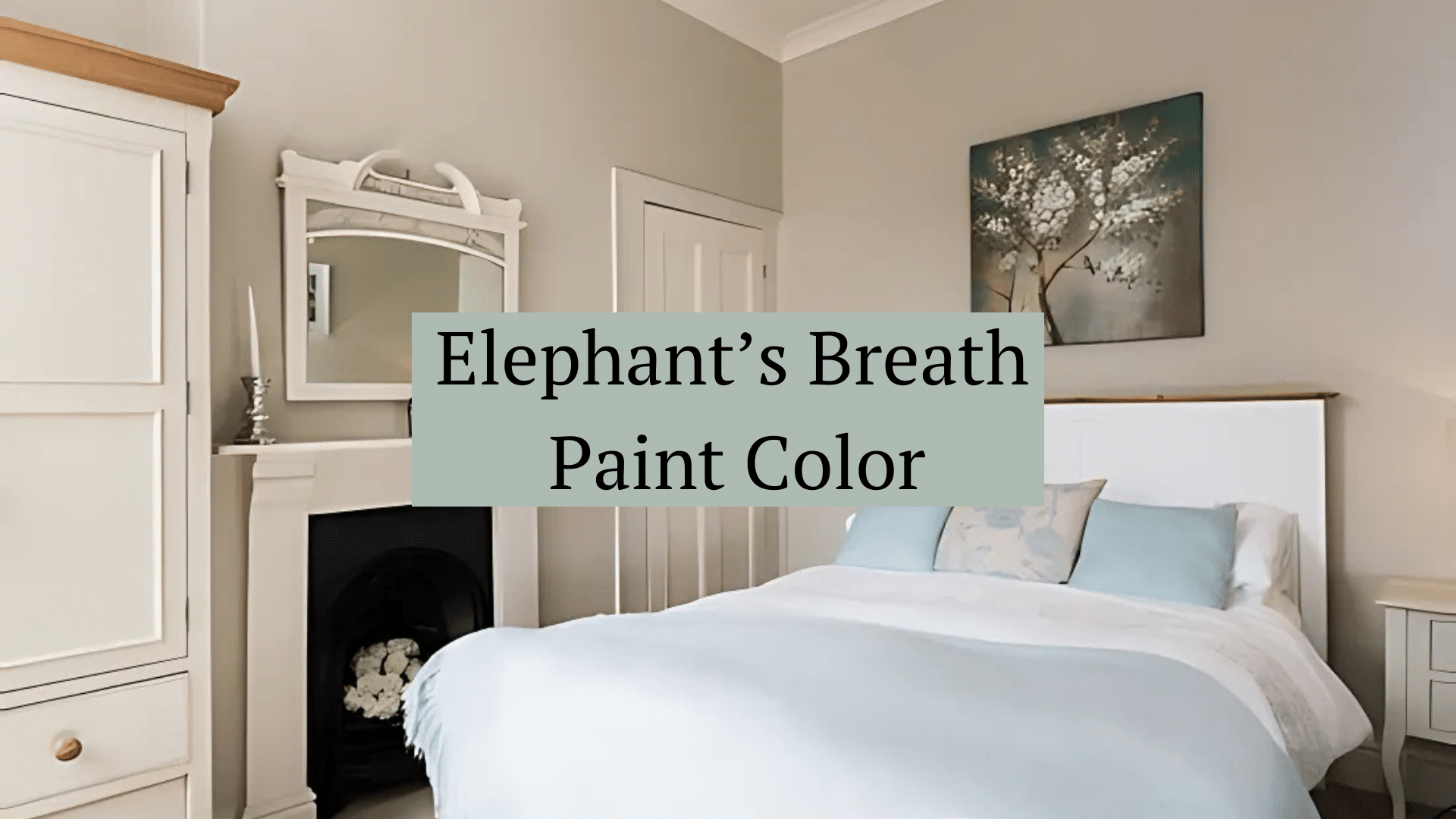 Elephant s Breath Paint Color A Complete Guide Opple House All For One Elephant s Breath Paint Color A Complete Guide Opple House All For One