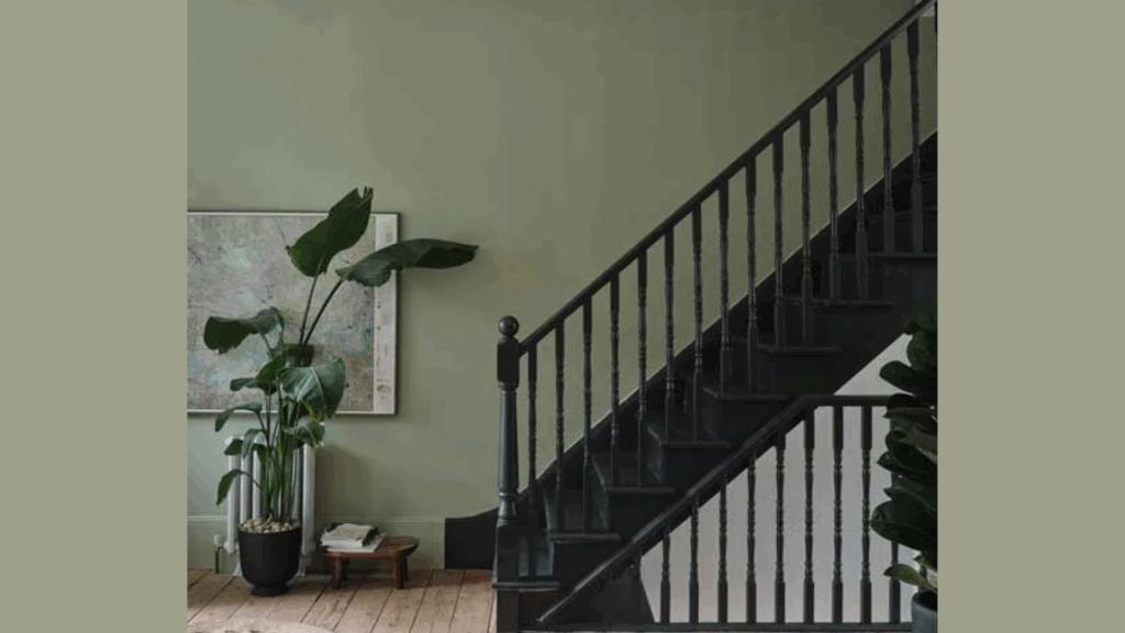 Entryways and Hallways