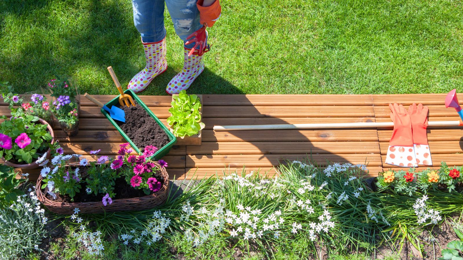 Getting Ready for Gardening Season