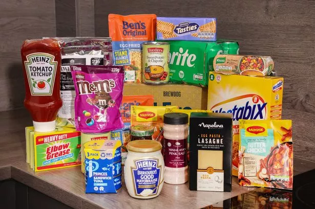 Must-Have Products at Discount Dragon