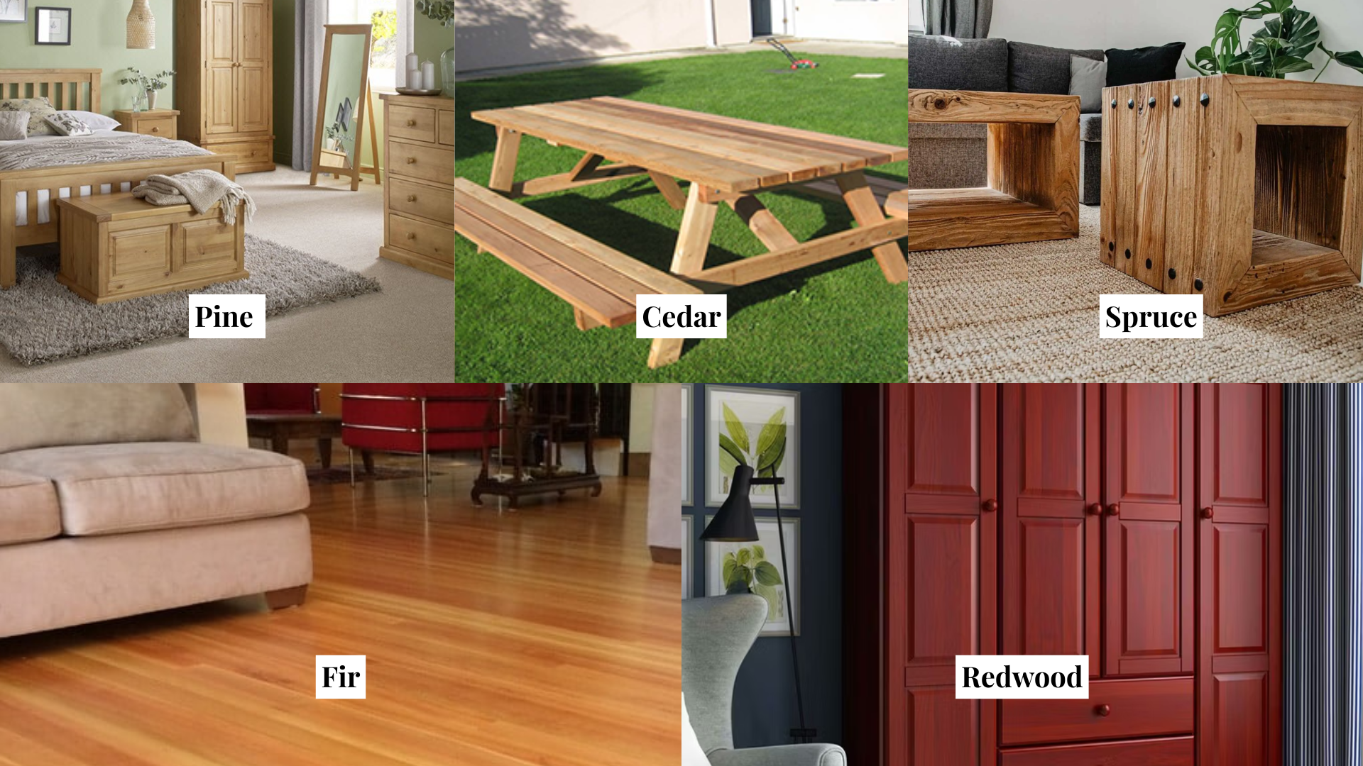 Popular_Softwood_Species