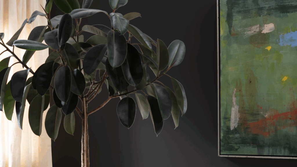 Reviewing Benjamin Moore’s Onyx (2133-10)