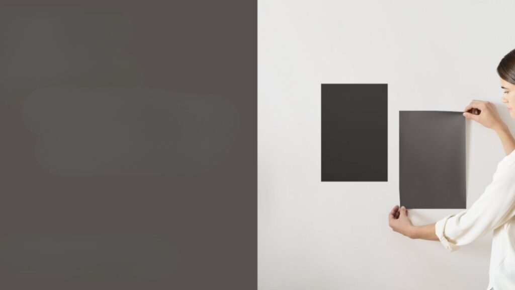 Reviewing Benjamin Moore’s Silhouette (AF-655)