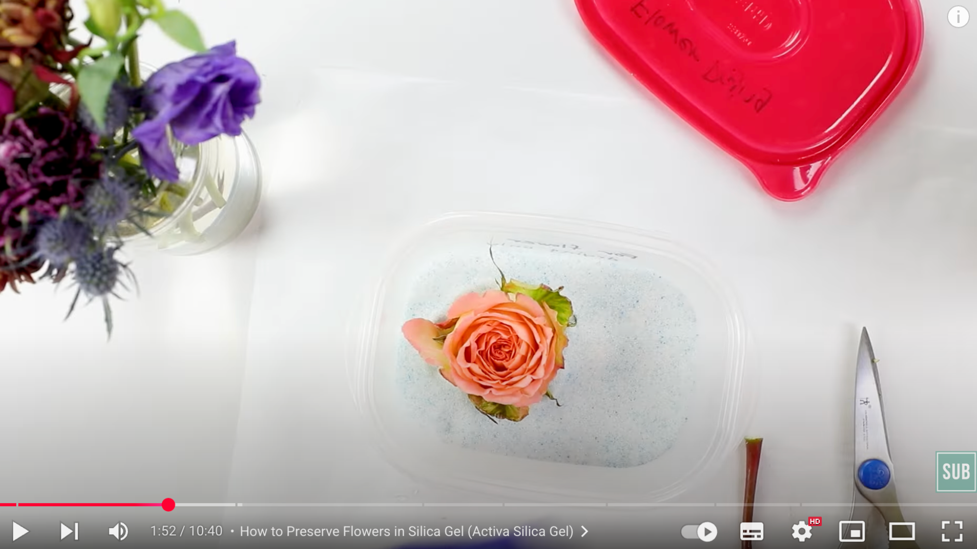 Step_2_Placing_Flowers_in_the_Container