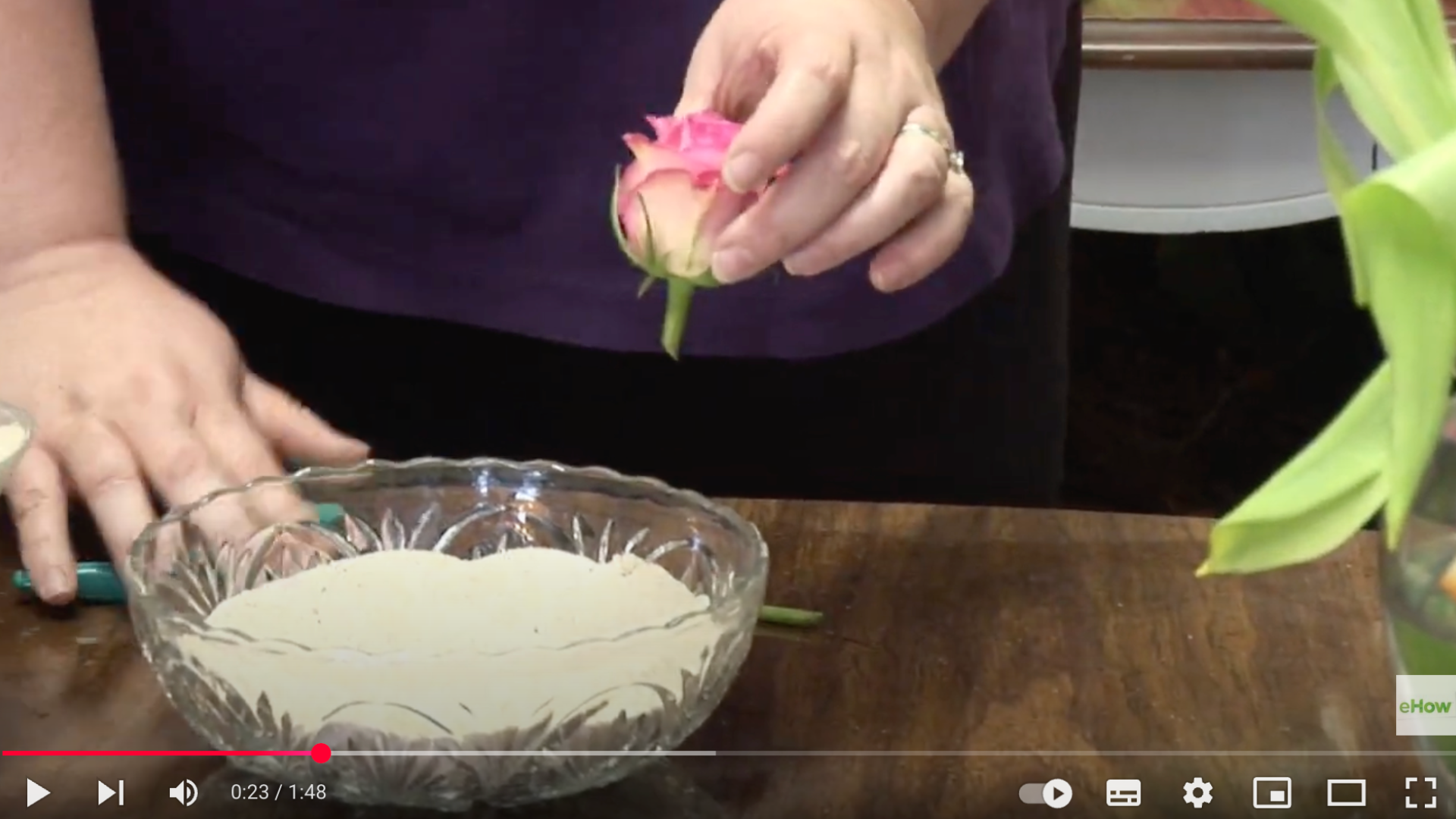 Step_2_Put_Flower_in_a_Container_with_Sand