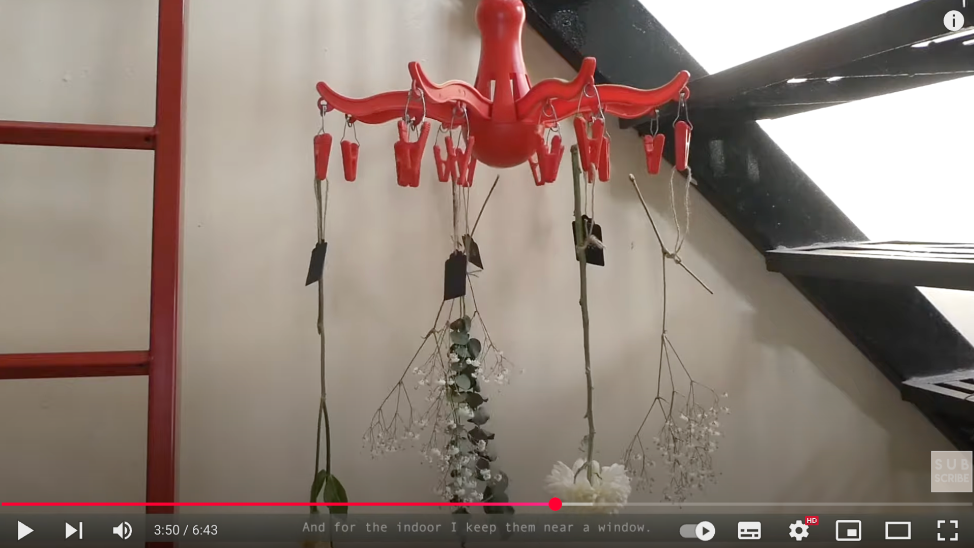 Step_3_Hang_Upside_Down_in_A_Cool_and_Dry_Place