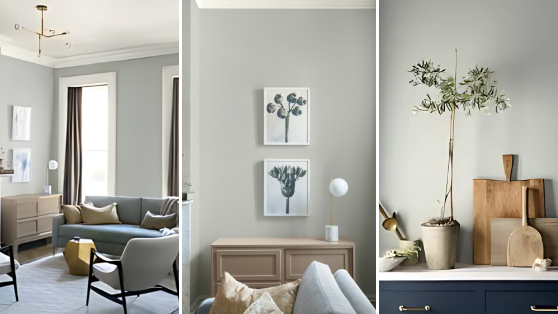 Using_Metropolitan_AF-690_by_Benjamin_Moore