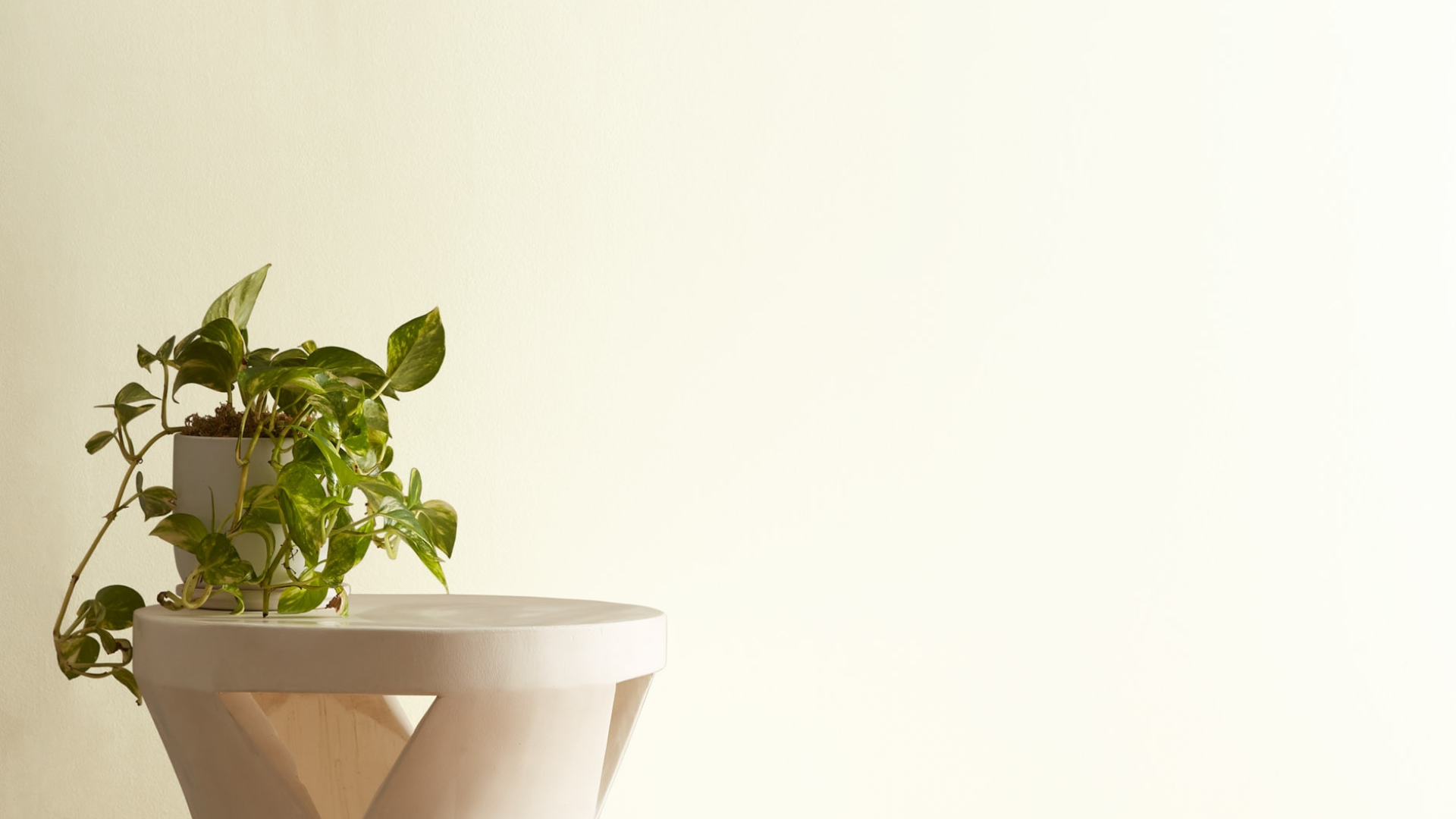 What_Kind_of_Color_Is_Benjamin_Moore_Mascarpone_AF-20