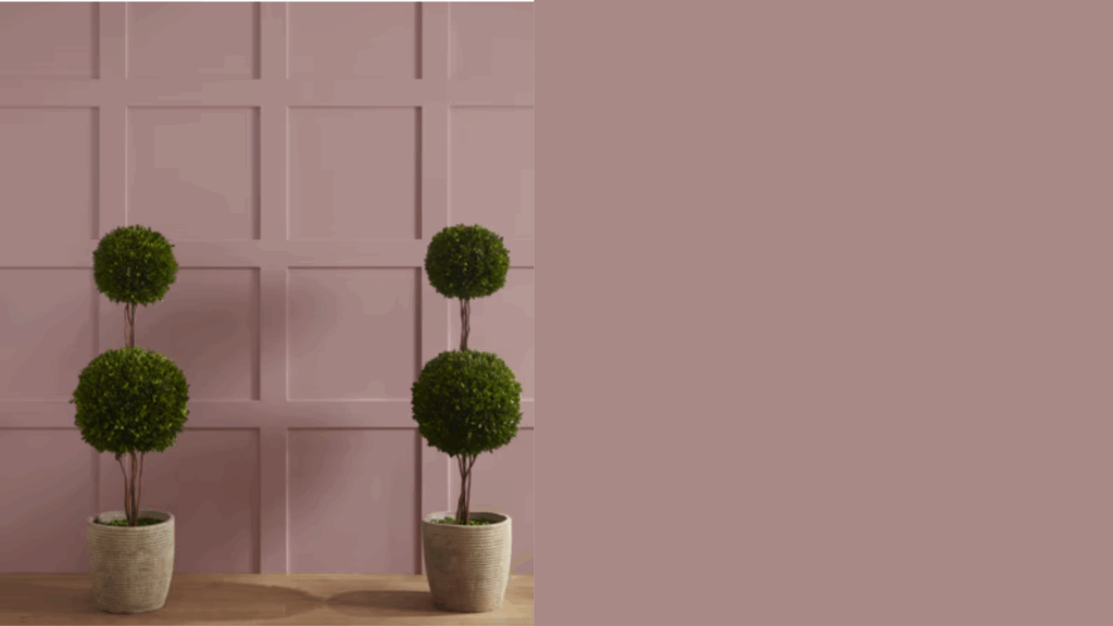 Why Benjamin Moore Barberry (1244) Is a Top Paint Pick?