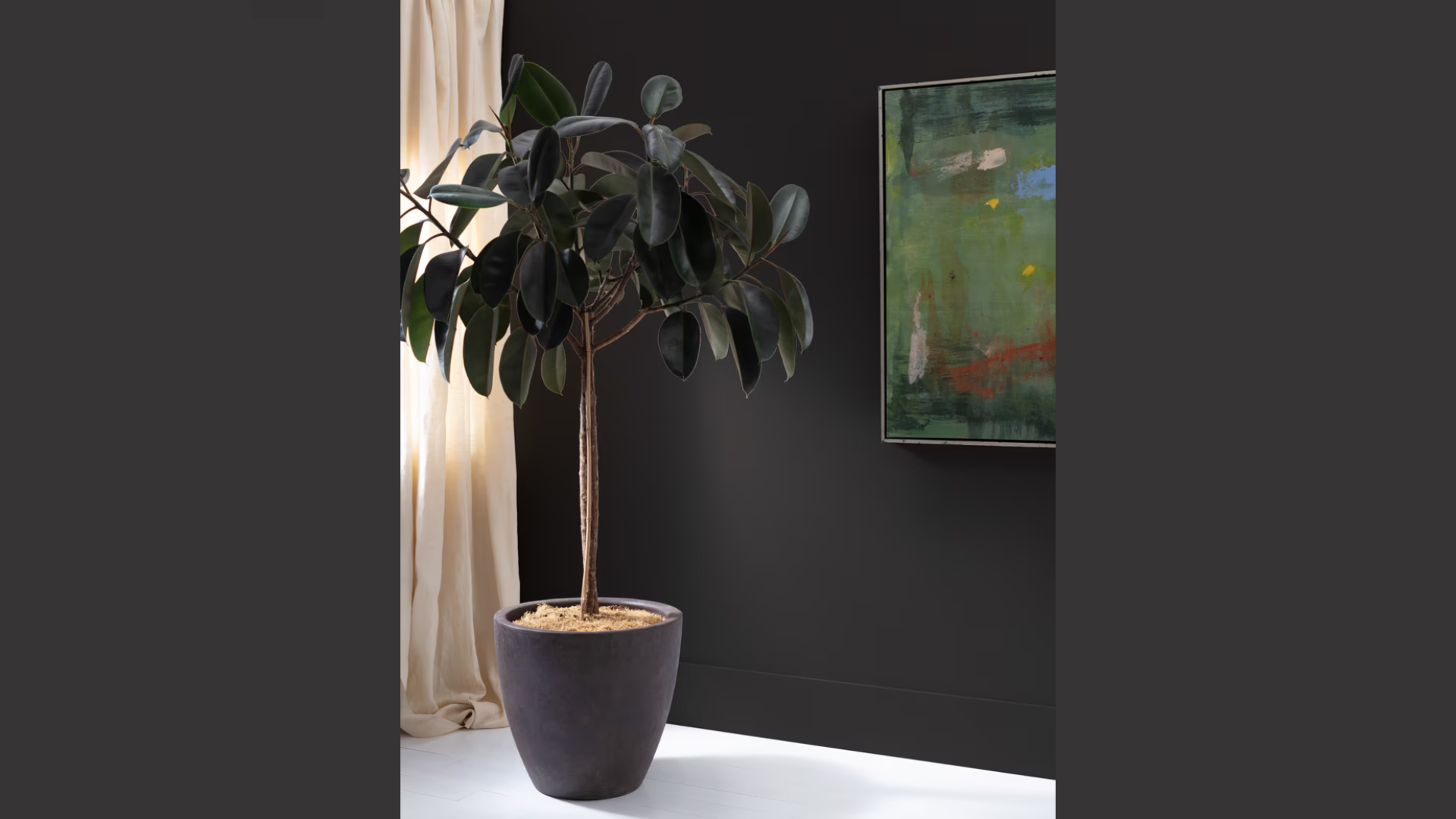 Why_Onyx_Is_an_Ideal_Paint_Color_for_Any_Room