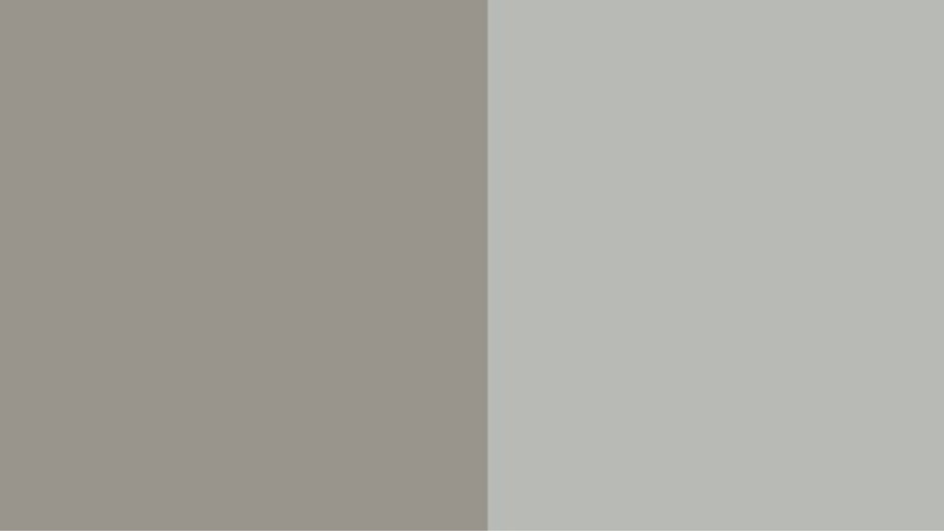 a-Benjamin_Moore_Graystone_vs_Coventry_Gray_1475_HC_169