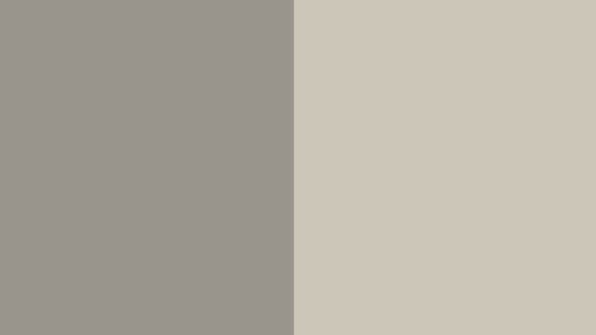 a-Benjamin_Moore_Graystone_vs_Revere_Pewter_HC-1475_HC_172