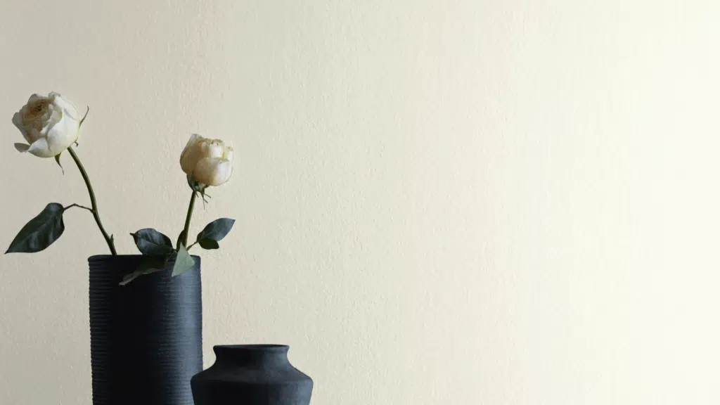 Understanding Floral White (OC-29) by Benjamin Moore benjamin moore floral white